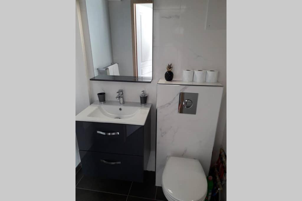 Logement Neuf De 40 M², Equipe Et Confortable Croix-Chapeau 외부 사진